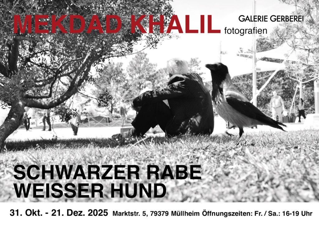 Galerie - Deutschwerkstatt Huckepack e.V.